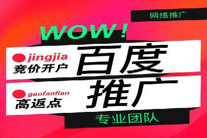 某品牌SEM代运营的成长历程与启示
